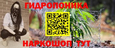 PSILOCYBIN Будённовск