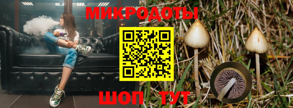 Тутаев  купить наркотик  Вход с VPN  Галлюциногенные грибы прущие грибы 
